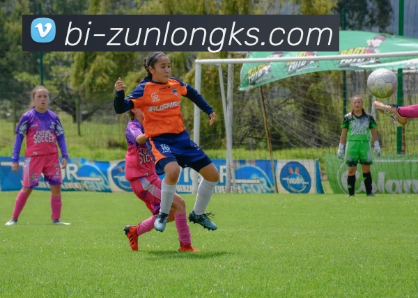 365体育官网平台生态图